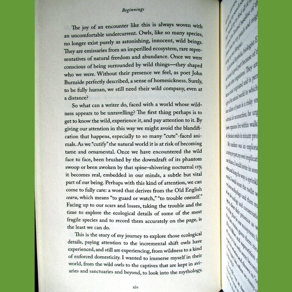 Book - The Wise Hours: A Journey into the Wild and Secret World of Owls - Picture 6 of 15